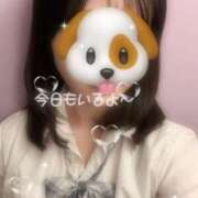 ヒメ日記 2025/11/12 15:57 投稿 あや ハンドキャンパス新宿