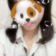 ヒメ日記 2025/11/14 15:41 投稿 あや ハンドキャンパス新宿