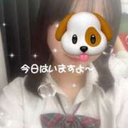 ヒメ日記 2025/11/19 15:04 投稿 あや ハンドキャンパス新宿