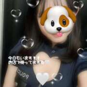 ヒメ日記 2026/03/14 16:51 投稿 あや ハンドキャンパス新宿