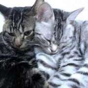 ヒメ日記 2025/09/26 00:34 投稿 安藤ちとせ しこたま奥様　熊本店