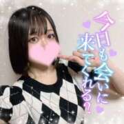 ヒメ日記 2025/10/17 08:15 投稿 ひびき おいらん遊郭