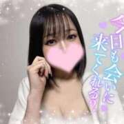 ヒメ日記 2025/11/15 15:15 投稿 ひびき おいらん遊郭