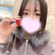 ヒメ日記 2026/02/19 20:15 投稿 ひびき おいらん遊郭