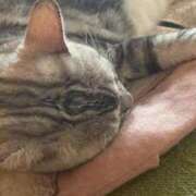 かなの 退勤 お姉さんSelect