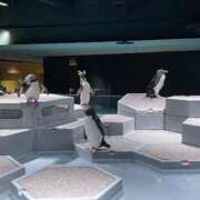 ヒメ日記 2026/01/30 14:05 投稿 かなの お姉さんSelect