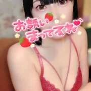 ヒメ日記 2025/09/12 23:12 投稿 まじゅ ハピネス福岡