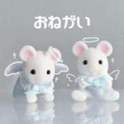 ヒメ日記 2026/02/22 09:39 投稿 まじゅ ハピネス福岡