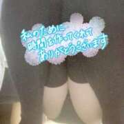 ヒメ日記 2025/11/17 10:06 投稿 望月みあ【ニューハーフ】 フェアリー【都城店】