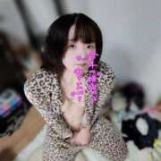 ヒメ日記 2026/01/04 03:17 投稿 望月みあ【ニューハーフ】 フェアリー【都城店】