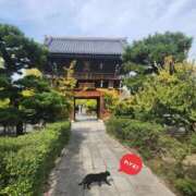 ヒメ日記 2025/11/06 07:17 投稿 まふゆ 熟女家 堺東店