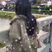 ヒメ日記 2025/11/13 08:17 投稿 まふゆ 熟女家 堺東店