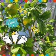 ヒメ日記 2025/11/17 07:37 投稿 まふゆ 熟女家 堺東店