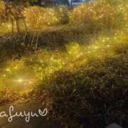 ヒメ日記 2025/12/22 20:37 投稿 まふゆ 熟女家 堺東店