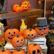 ヒメ日記 2025/10/23 11:21 投稿 みぃ 花影（かえい）