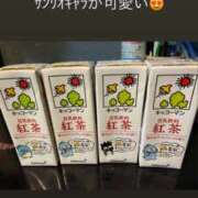 みぃ おはよう☀️ 花影（かえい）