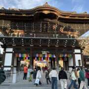 ヒメ日記 2026/01/05 19:33 投稿 みぃ 花影（かえい）