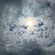 ヒメ日記 2026/03/19 23:09 投稿 みぃ 花影（かえい）