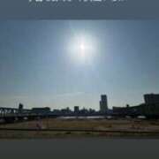 ヒメ日記 2026/03/22 11:26 投稿 みぃ 花影（かえい）