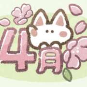 ヒメ日記 2026/04/02 12:12 投稿 みぃ 花影（かえい）