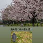 ヒメ日記 2026/04/04 14:39 投稿 みぃ 花影（かえい）