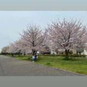 ヒメ日記 2026/04/05 10:46 投稿 みぃ 花影（かえい）