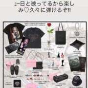 ヒメ日記 2026/04/08 11:18 投稿 みぃ 花影（かえい）