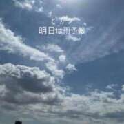 ヒメ日記 2026/04/09 14:50 投稿 みぃ 花影（かえい）