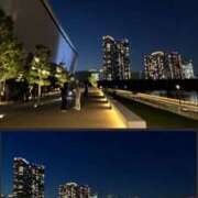 ヒメ日記 2026/04/10 14:41 投稿 みぃ 花影（かえい）