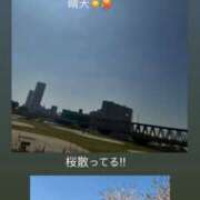 ヒメ日記 2026/04/11 13:05 投稿 みぃ 花影（かえい）