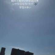 みぃ こんﾁﾜﾜ☀️🐶 花影（かえい）