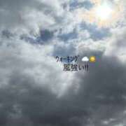 みぃ こんにちﾜﾝ🌥️🌬️🐶 花影（かえい）