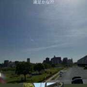 ヒメ日記 2026/04/22 18:54 投稿 みぃ 花影（かえい）