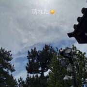 ヒメ日記 2026/04/27 14:49 投稿 みぃ 花影（かえい）