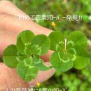 ヒメ日記 2026/04/30 20:00 投稿 みぃ 花影（かえい）