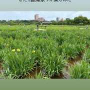 ヒメ日記 2026/05/23 14:54 投稿 みぃ 花影（かえい）