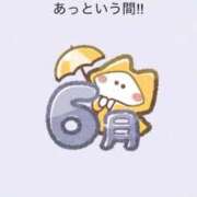 ヒメ日記 2026/06/01 14:33 投稿 みぃ 花影（かえい）