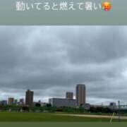 ヒメ日記 2026/08/30 14:28 投稿 みぃ 花影（かえい）