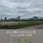 ヒメ日記 2026/09/01 13:46 投稿 みぃ 花影（かえい）
