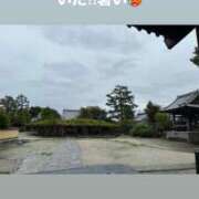 みぃ こんにちﾜﾝ☂️🐶 花影（かえい）