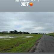 ヒメ日記 2026/09/08 15:08 投稿 みぃ 花影（かえい）