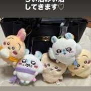 ヒメ日記 2026/10/13 14:17 投稿 みぃ 花影（かえい）