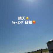 ヒメ日記 2026/10/18 13:17 投稿 みぃ 花影（かえい）