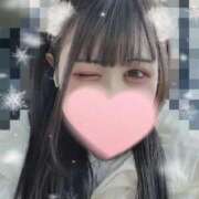 ヒメ日記 2025/12/31 11:13 投稿 りり 秋葉原コスプレ学園in仙台