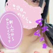 ヒメ日記 2025/09/12 13:22 投稿 しらべ 香川サンキュー