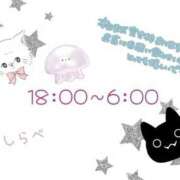 ヒメ日記 2025/09/13 14:02 投稿 しらべ 香川サンキュー