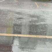 ヒメ日記 2025/09/16 17:42 投稿 しらべ 香川サンキュー