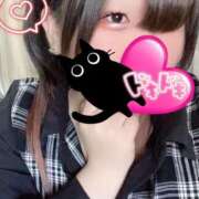 しらべ 久しぶりです☺️ 香川サンキュー