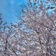 ヒメ日記 2026/04/02 15:10 投稿 ひな『Iカップ』 ぽよぽよランド