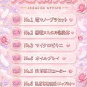 ヒメ日記 2026/10/08 13:30 投稿 ひな『Iカップ』 ぽよぽよランド